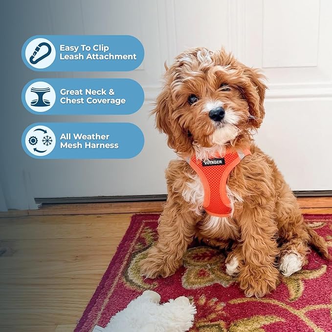 Best Pet Supplies Voyager Step-in Air All Weather Mesh Harness and Reflective Dog 5ft Leash Combo with Neoprene Handle, for Small, Medium and Large Breed Puppies - Orange, Small