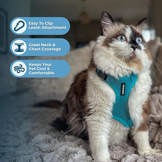 Voyager Escape-Proof Step-in Lock Cat Harness & 5ft Neoprene-Handle Leash Set All-Weather Mesh with Reflective Stitching for Small to Large Cats by Best Pet Supplies, Turquoise, XXS