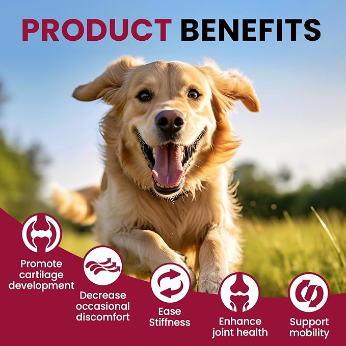 Glucosamine for Dogs - Hip and Joint Supplement Chews for Senior & Large Breed, Joint Supplement for Dogs with Chondroitin, Wuffe Joint Chews for Pain Relief - 60-Day Satisfaction Guarantee - 180 Ct