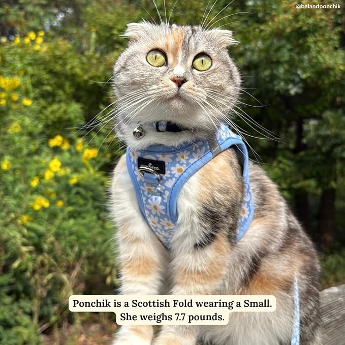Lucy & Co. Simply Splendid Step-in Cat Harness & Leash Bundle – Reflective, Breathable & Adjustable Harness for Cats, Kittens & Small Dogs, Lightweight & Secure and Dual Leash Clips – X-Small