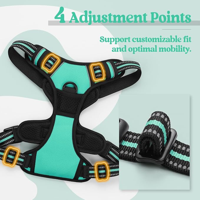 rabbitgoo Dog Harness, No Pull for Large Dogs with 2 Leash Clips, Pet Vest | No Choke with Handle, Adjustable Soft Padded, Reflective, Easy Control for Walking, Turquoise, Large