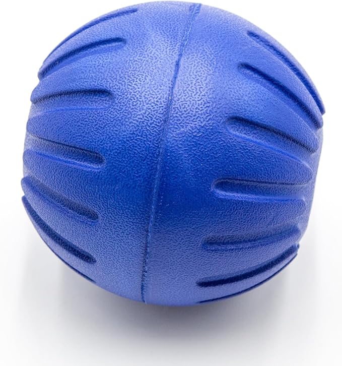 Leerburg Foam Ball Dog Toy – Durable, Safe Fetch Toy for Dogs, Floats in Water (Blue)