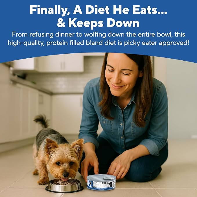 Dave's Pet Food Bland Diet Dog Food, Chicken & Rice, 5.5 oz, 24 pk