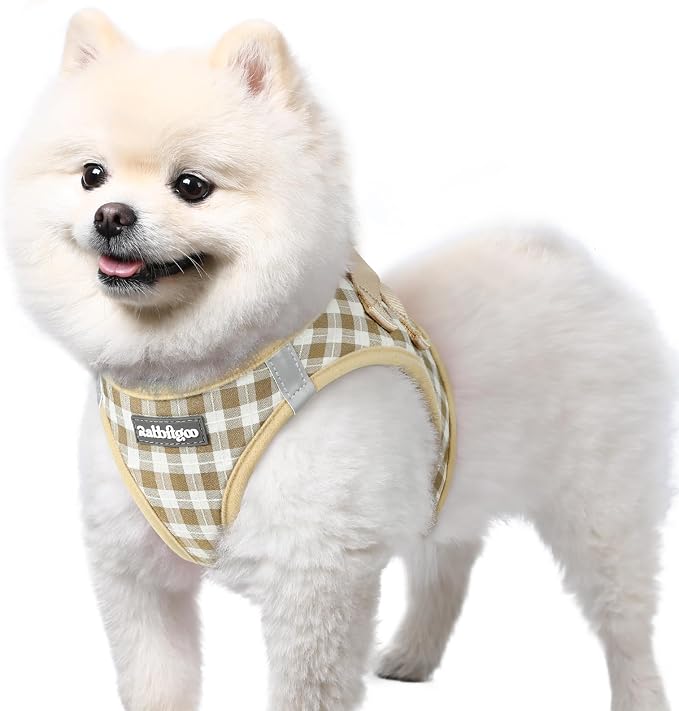 rabbitgoo Step-in Small Dog Harness, Puppy Vest for Small Sized Pet | Easy Put on and off, Lightweight, Soft, Breathable Quick-Dry Air Mesh for Comfortable Secure Walking, Beige Check S