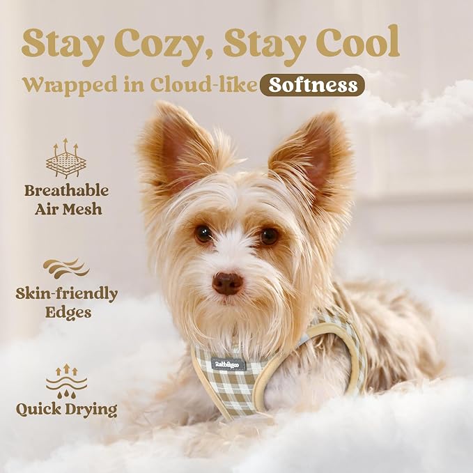 rabbitgoo Step-in Small Dog Harness, Puppy Vest for Small Sized Pet | Easy Put on and off, Lightweight, Soft, Breathable Quick-Dry Air Mesh for Comfortable Secure Walking, Beige Check XXS