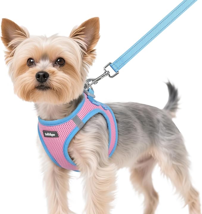 rabbitgoo Dog Harness Small Sized and Leash Set, Step in Soft Vest | Breathable Mesh, Easy Wear with Hook & Loop, Light and Reflective for Walking, Multi-colored, Pink & Blue, XS