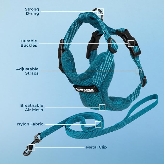 Voyager Escape-Proof Step-in Lock Cat Harness & 5ft Neoprene-Handle Leash Set All-Weather Mesh with Reflective Stitching for Small to Large Cats by Best Pet Supplies, Turquoise, XXS