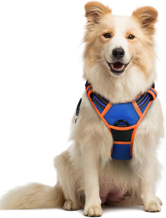 rabbitgoo Dog Harness, No Pull Medium Sized with 2 Leash Clips, Pet Vest | No Choke with Handle, Adjustable Soft Padded, Reflective, Easy Control for Walking, Blue & Orange, Medium