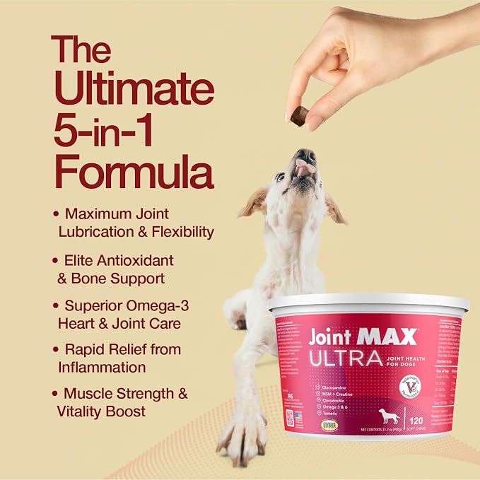 Ultra Advanced Hip & Joint Support for Dogs – All-in-One Soft Chews with Glucosamine, MSM, Omega-3s (EPA & DHA), Hyaluronic Acid & Boswellia – Maximum Strength Mobility & Comfort – 120 Chews