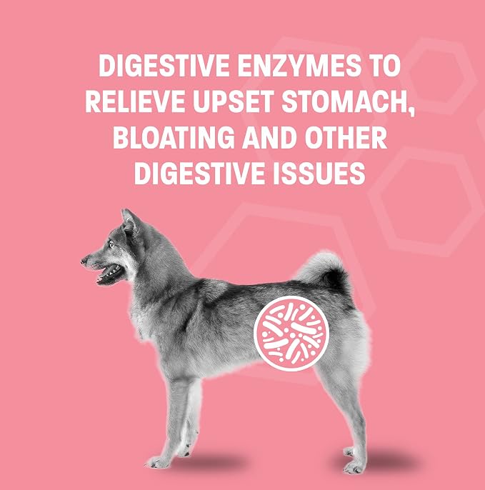 Probiotic Oral Paste for Dogs & Cats - Support Healthy Digestion Probiotic Gel - Anti Diarrhea for Dogs and Cat Probiotics for Diarrhea - for Traveling, Kenneling and Training - 30 cc