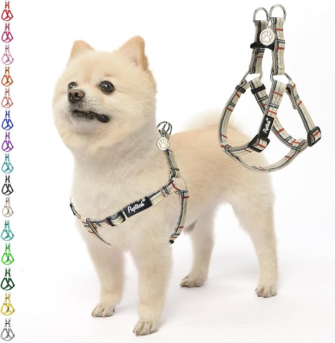 PUPTECK No Pull Dog Harness Small Sized Step-in Adjustable Puppy Vest | Soft Webbing Basic Halter with ID Tag for Outdoor Walking