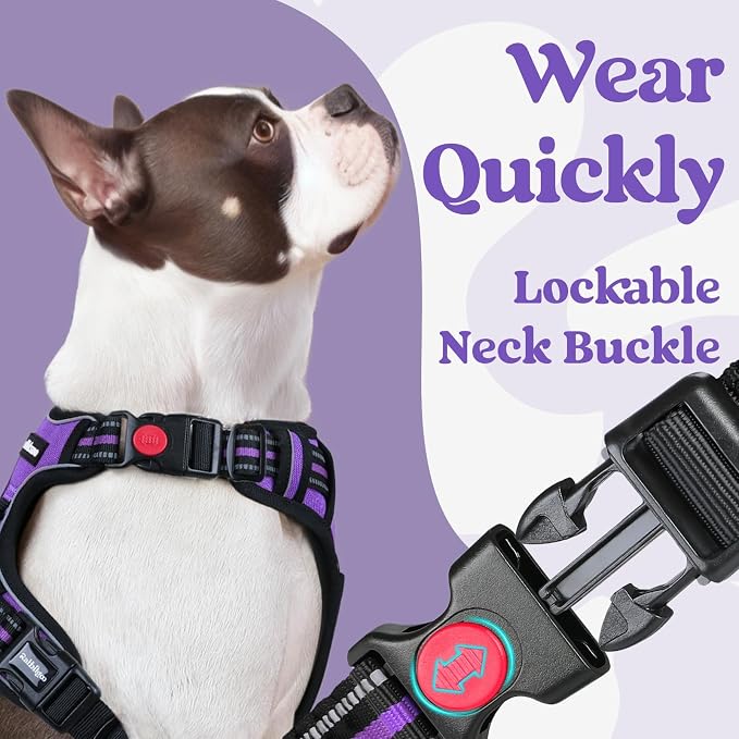rabbitgoo Dog Harness Medium Sized, Updated Easy On & Off with 3 Buckles | No Pull No Choke, Walking with 2 Clips and Handle, Adjustable Soft Reflective, Purple, Medium