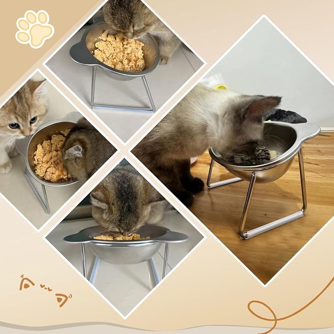 15° Tilted Elevated Cat Bowl - Silent Stainless Steel Raised Cat Dish with 1M DIY Noise-Canceling Strip - Anti-Vomiting & Neck Protection - 304 Food Grade Metal Cat Bowl, Dishwasher Safe