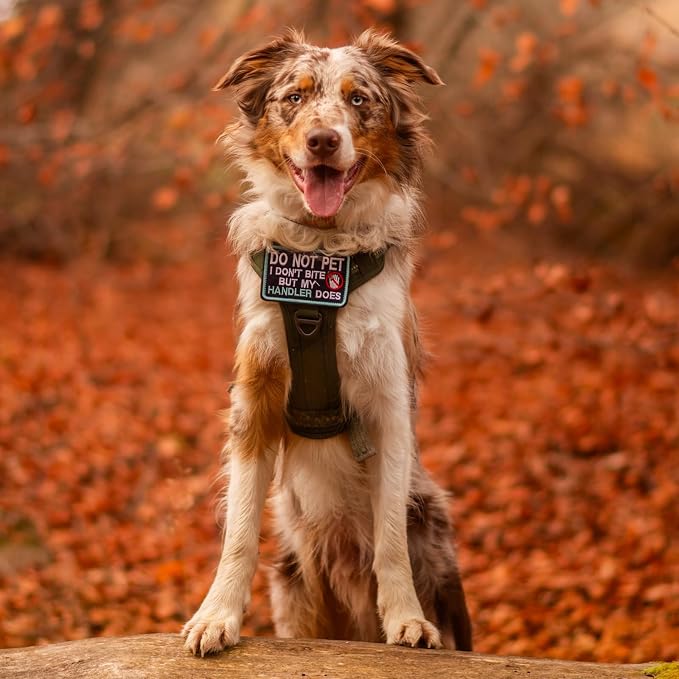 rabbitgoo Tactical Dog Harness Medium Sized, No Pull Service Pet Vest | Military Molle System & Easy Control Handle, Adjustable and Reflective for Walking and Training, Desert Camo, Medium