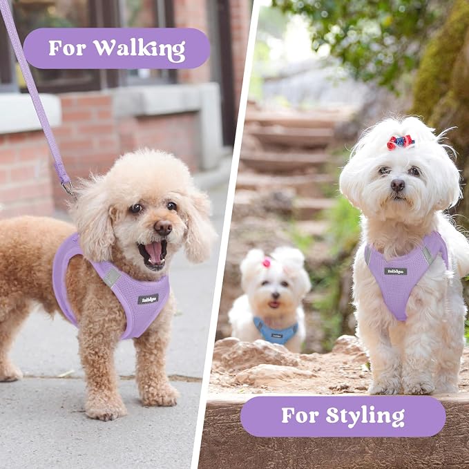 rabbitgoo Step-in Small Dog Harness, Puppy Vest for Small Sized Pet | Easy Put on and off, Lightweight, Soft, Breathable Quick-Dry Air Mesh for Comfortable Secure Walking, Light Purple M