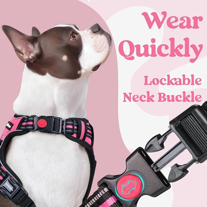 rabbitgoo Dog Harness Small Sized, Updated Easy On & Off with 3 Buckles | No Pull No Choke, Walking with 2 Clips and Handle, Adjustable Soft Reflective, Rose Pink, Small