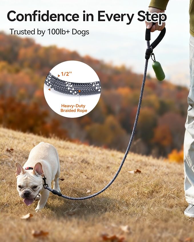 Joytale Rope Dog Leash for Small Dogs, Padded Handle, 5FT, Gray | Reinforced Nylon Webbing, Comfort Grip Eases Hand Strain, Swivel Clip Prevents Tangles, Visible at Night, for Outdoor Walks