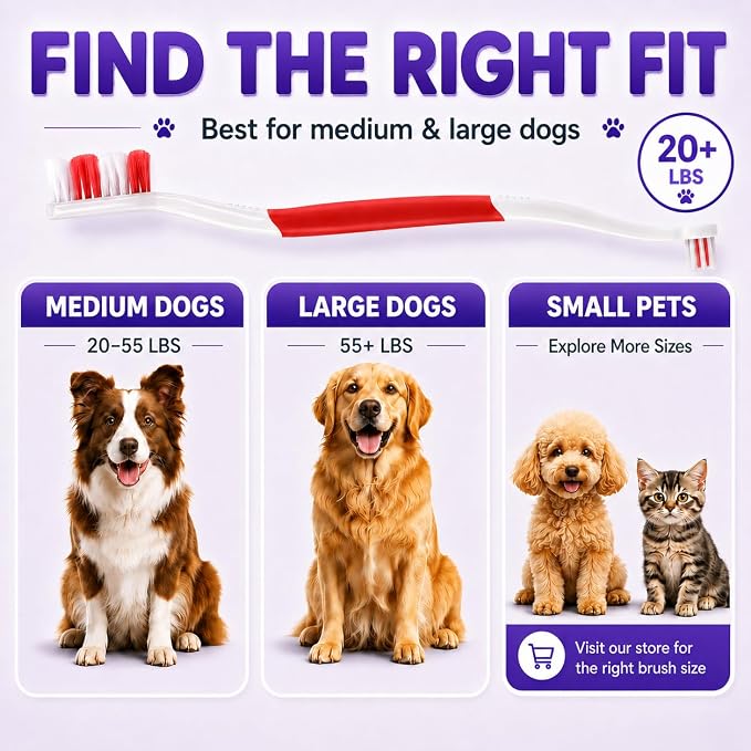 Dog Toothbrush, Dual-Head, for Medium-Large Dogs,Red | Soft Bristles for Gentle Cleaning, 60° Curved Bristles for Better Coverage, Comfortable for Sensitive Gums