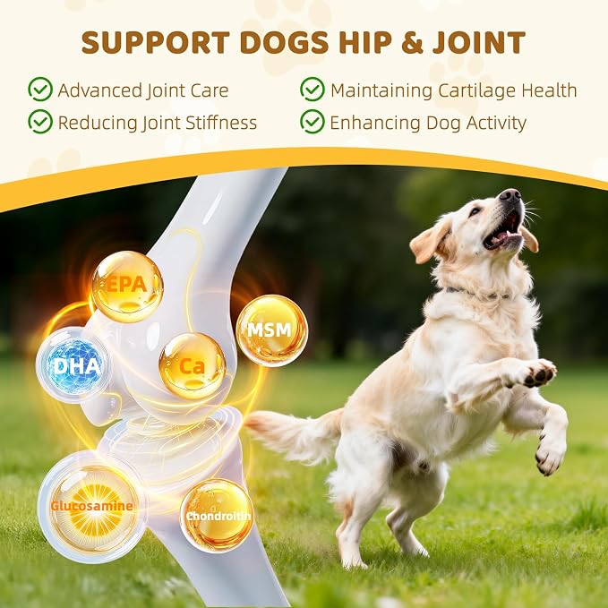 12-in-1 Dog Multivitamin Chewable: Dog Vitamins & Supplements with Chondroitin Glucosmine Probiotics Omega 3 Cod Liver Oil CoQ10 Astaxanthin for Joint Gut Heart Eye Brain Immune Support