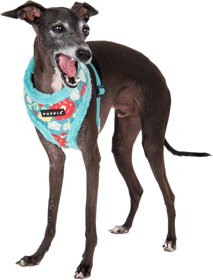 Puppia Alyssa Dog Harness Over-The-Head Warm Winter Flower Pattern Adjustable Chest for Small and Medium Dog, Aqua, Large