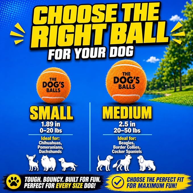 The Little Dog’s Balls Small Dog Tennis Balls 6-Pack Orange Floats in Water | Our fetch balls combine non-abrasive felt exterior and a thicker rubber core Durable Dog Toy for Outdoor Play & Training