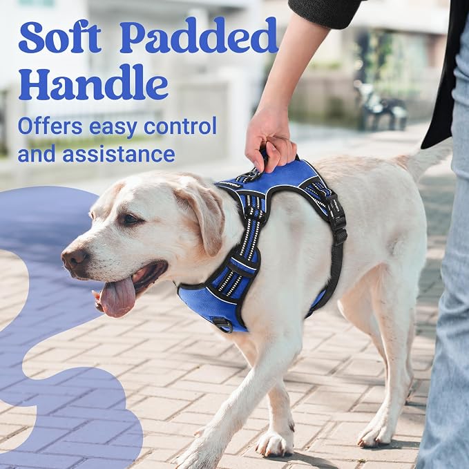 rabbitgoo Large Dog Harness, Easy Wear with 3 Buckles and Lift Handle | No Pull with Front Clip for Walking, Adjustable Soft Padded, Reflective, Easy Control, Blue, X-Large