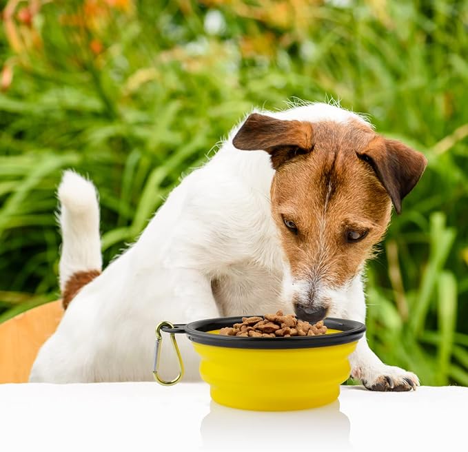 3 Collapsible Silicone Dog Bowls, Yellow Blue Black, Small