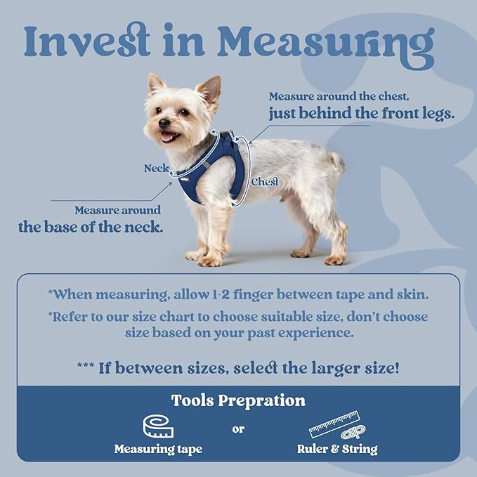 rabbitgoo Step-in Small Dog Harness, Puppy Vest for Small Medium Sized Pet | Easy Put on and off, Lightweight, Soft, Breathable Quick-Dry Air Mesh for Comfortable Secure Walking, Navy Blue L