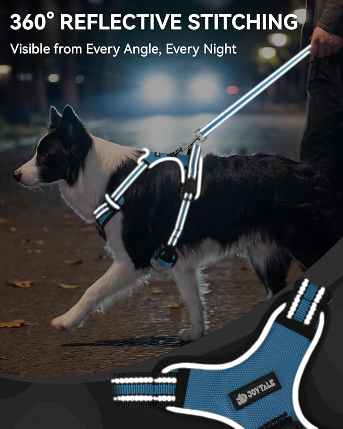 Joytale No Pull Dog Harness & Seat Belt, Easy On 3-Buckle, S, Sky Blue | Front Clip Reduces Pulling, Escape-Resistant Design, Adjustable Fit, Soft Padding for Comfort, Secure Tether for Safer Travel