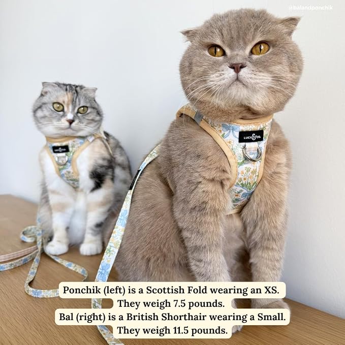 Lucy & Co. Sunshine and Daffodils Step-in Cat Harness and Leash Set Bundle, Escape Resistant Comfort Fit, Medium