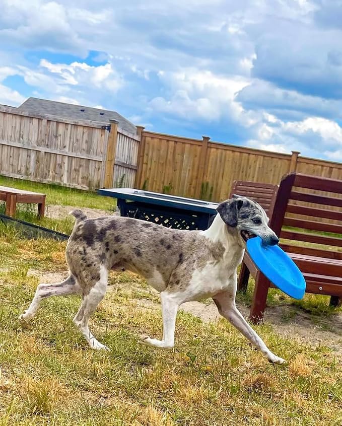 Frisbee, Floating Foam Disc, Medium & Large Dogs, 8.5in, Yellow
