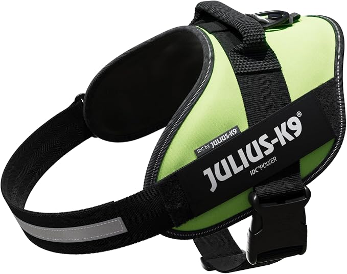 Julius-K9, 16IDC-NE-2, IDC Powerharness, Dog Harness, Size: 2, Neon Green