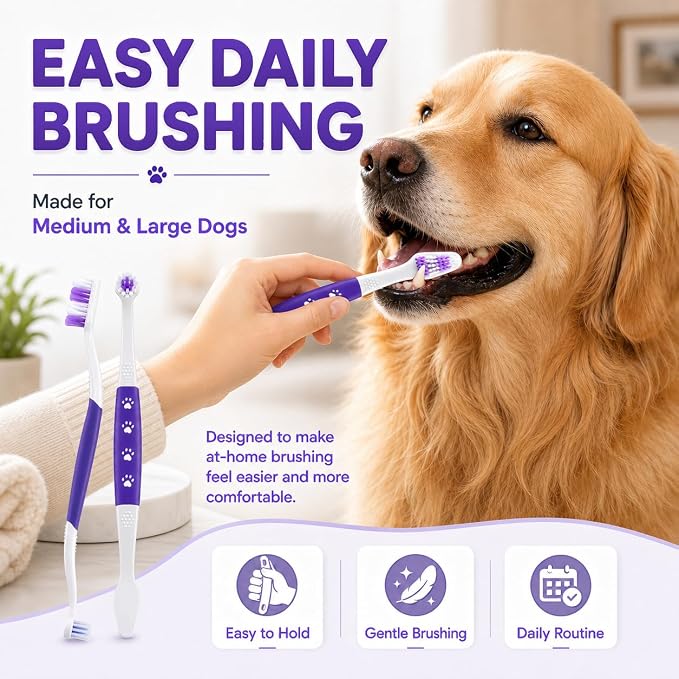 Dog Toothbrush, Dual-Head, for Medium-Large Dogs, Purple | Soft Bristles for Gentle Cleaning, 60° Curved Bristles for Better Coverage, Comfortable for Sensitive Gums