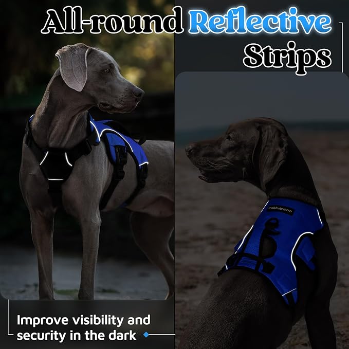 rabbitgoo Escape Proof Dog Harness for X-Large, No Pull with Lift Handle | No Escape, Full Soft Padded, Reflective Adjustable Vest, Leash Clip for Walking Hiking Training, Blue, X-Large