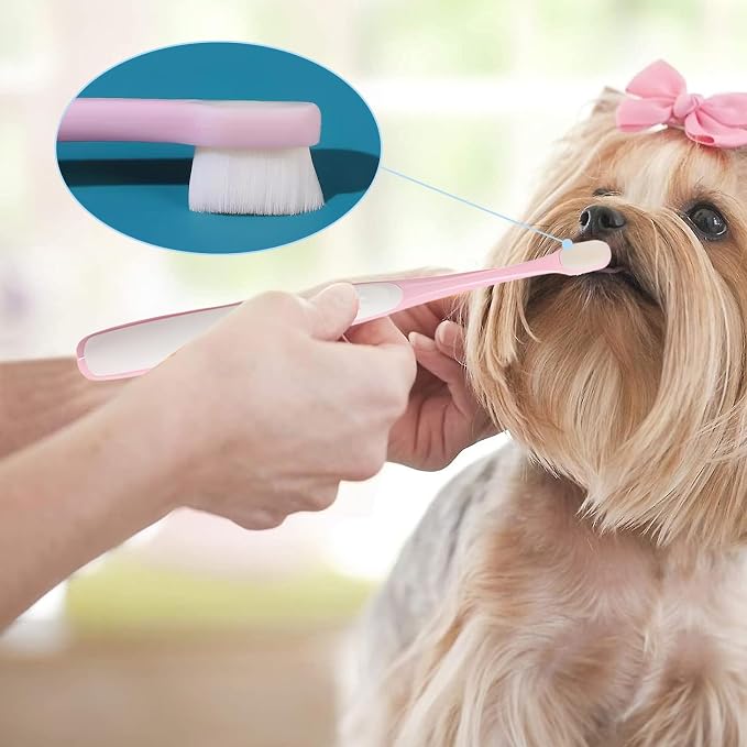 Pet Toothbrush Set for Small Dogs and Cats, 4 Pack Micro Head with Soft Bristles
