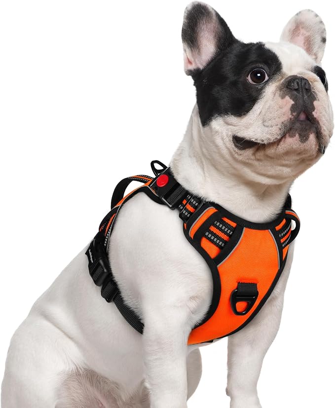 rabbitgoo Large Dog Harness, Easy Wear with 3 Buckles and Lift Handle | No Pull with Front Clip for Walking, Adjustable Soft Padded, Reflective, Easy Control, Orange, Small