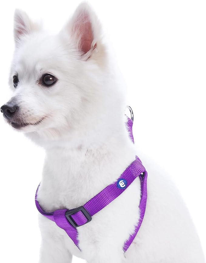 Blueberry Pet Essentials Step-in Dog Harness, Medium Size | Adjustable Dark Orchid Vest | Classic Solid Nylon for Boy & Girl Dogs, Chest Girth 20" -26"