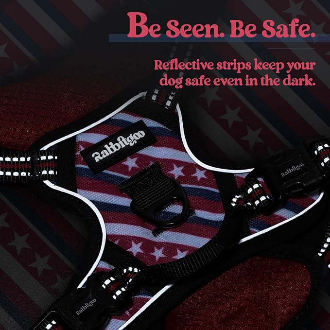 rabbitgoo Dog Harness, No Pull for Small Dogs with 2 Leash Clips, Pet Vest | No Choke with Handle, Adjustable Soft Padded, Reflective, Easy Control for Walking, Red Stripe, X-Small
