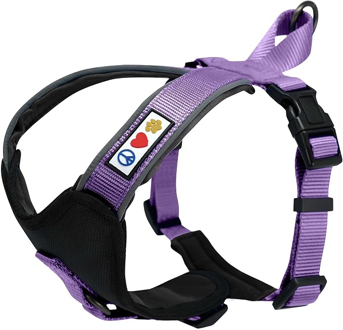 Pawtitas Reflective Padded Dog Harness for Medium Dogs – Adjustable Step-in Vest | Fits Chest 22–28 in | No Pull Training Harness | M | Orchid