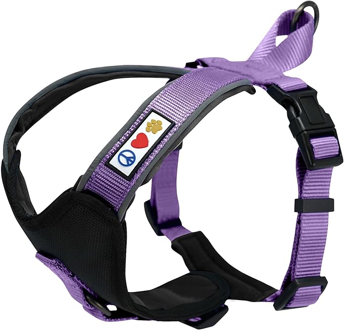 Pawtitas Reflective Padded Dog Harness for X-Small Dogs – Adjustable Puppy Step-in Vest | Fits Chest 14–18 in | No Pull Training Harness | XS | Orchid