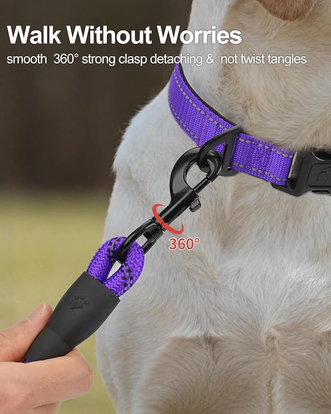Joytale Rope Dog Leash for Medium Large Dogs, Padded Handle, 5FT, Purple | Reinforced Nylon Webbing, Comfort Grip Eases Hand Strain, Swivel Clip Prevents Tangles, Visible at Night, for Outdoor Walks
