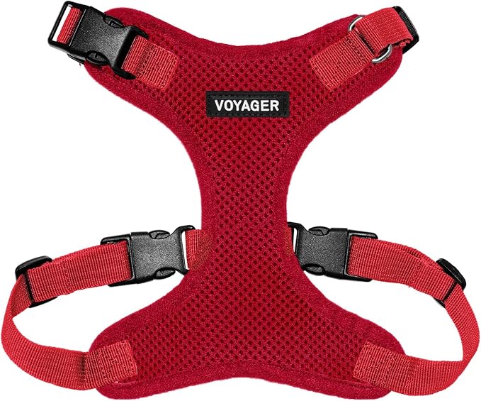Voyager Step-in Lock Dog Harness - Red, X-Small | 13 - 16" in Chest, Adjustable, Breathable Air Mesh, Lightweight for Daily Walks, Strong Clips, Heavy Duty D-Ring