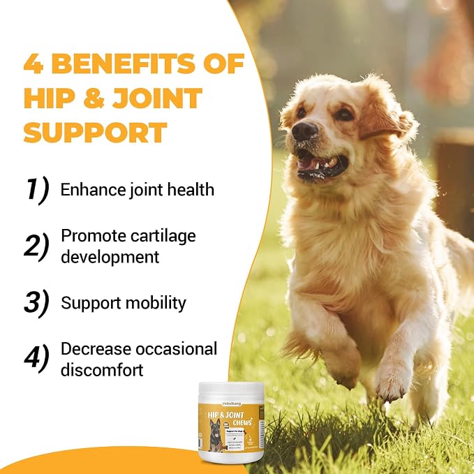 360 Chews Glucosamine Chondroitin Joint Chews for Dogs, Chicken Flavor 13 in 1 with Glucosamine, Chondroitin, MSM, Omega-3 Support Hip & Joint Support - Joint Pain Relief Flavored Fit All Breed