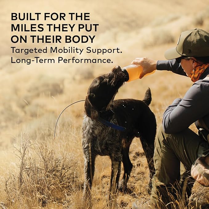 Furvor Beef Mobility Support Bone Broth Concentrate for Dogs - 12oz, 20 Servings