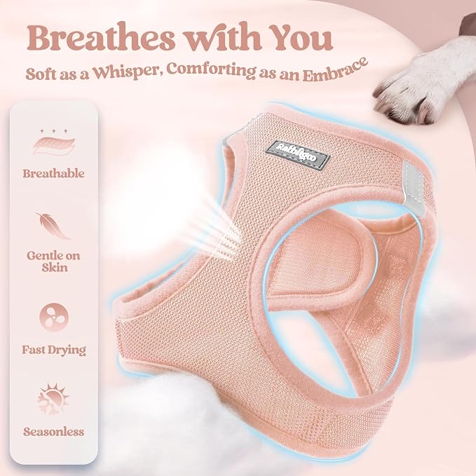 rabbitgoo Dog Harness Small Sized and Leash Set, Step-in Puppy Pet Vest | Light, Soft, Breathable Air Mesh, Easy on and Remove with Hook & Loop, Secure Reflective for Walking, Pink XXS