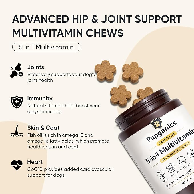 Pupganics Multivitamin Daily Soft Chews for Dogs, Pupganics 5 in 1 Multivitamin, Vitamin & Probiotics for Skin & Hair, Heart Health, Immune Support, Beef Flavor, 60 Soft Chews (1 PCS)
