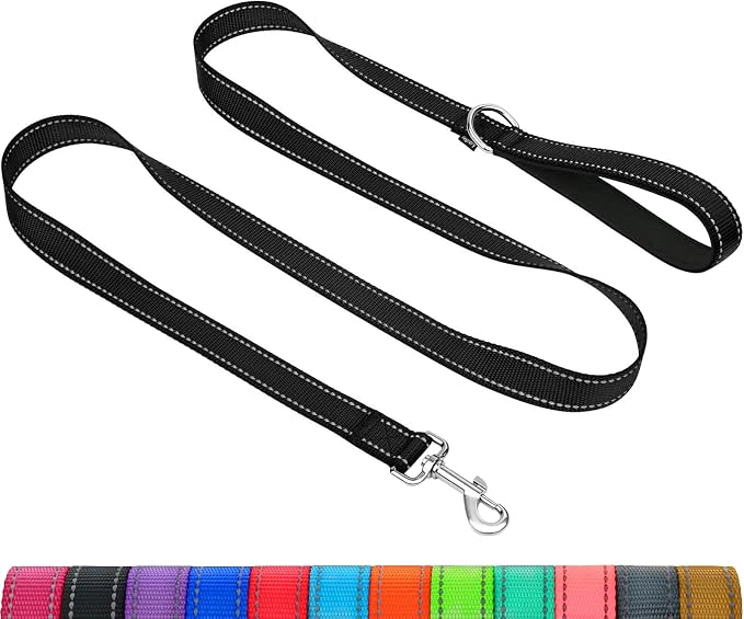 Taglory Reflective Dog Leash for Medium Large Dogs, 1in x 5ft, Black | Ideal for Night Walking, Strong for Sudden Pulls, Lightweight & Gentle on the Neck, Soft Padded Handle