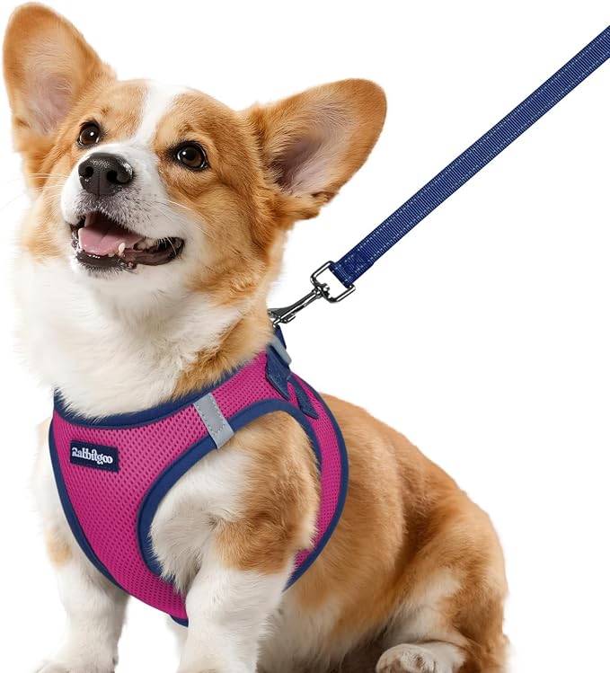 rabbitgoo Dog Harness Small Sized and Leash Set, Step in Soft Vest | Breathable Mesh, Easy Wear with Hook & Loop, Light and Reflective for Walking, Multi-colored, Rose Red & Navy Blue, L