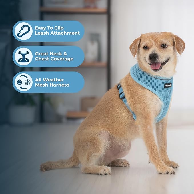 Best Pet Supplies Voyager Aerolite Over the Head Dog Harness, No Pull Breathable Air Mesh Vest, Quick Dry with Reflective Stitching, Adjustable Escape Resistant Harness - Blue, Large