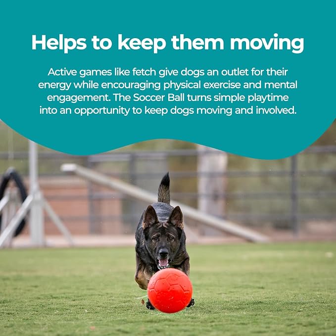 Jolly Pets Large Soccer Ball, Floating-Bouncing, 8in, Orange
